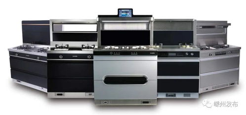 嵊州廚具攜手蘇寧易購(gòu)，探索廚衛(wèi)電商新模式